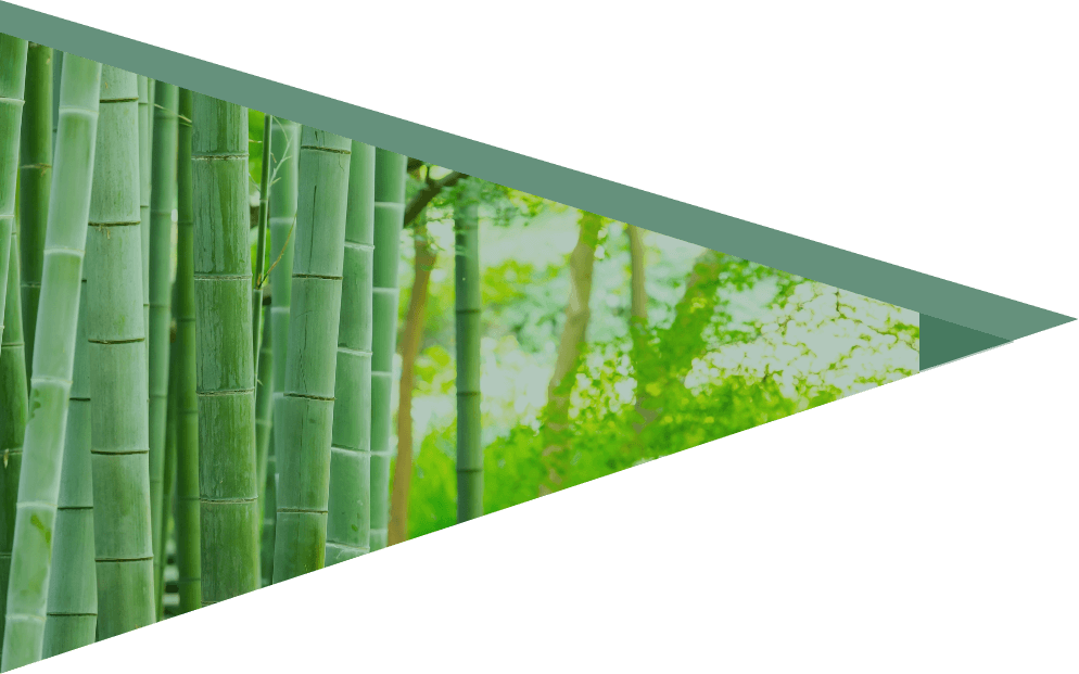 パチンコ・ホール設備の竹屋の会社名・ロゴにも使われている竹のイメージ